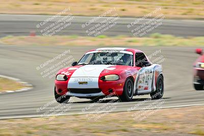media/May-04-2025-Lucky Dog Racing (Sun) [[21629467aa]]/Turn 4 (10-1045am)/Turn 3/